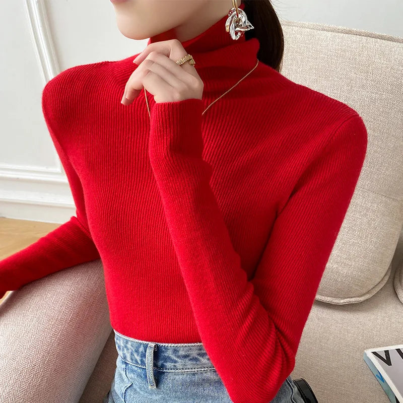 Camille Cashmere Turtleneck